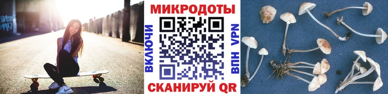где купить наркотик  Колпашево  Псилоцибиновые грибы ЛСД 